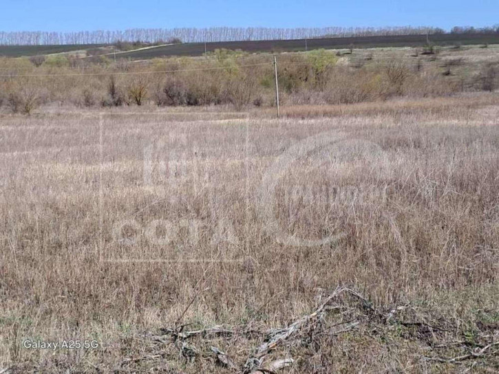 Земельный участок Приволье село