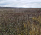 земля 12 сот ул. Абдуллы Алиша