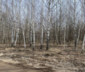 земля 4 сот ул. Газовая (Салмачи), дом 62