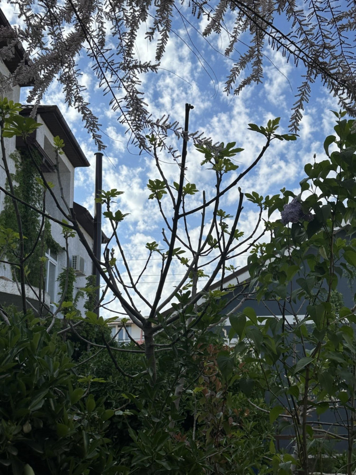 Студия улица Верхняя дорога, 73Д