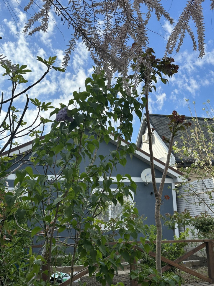 Студия улица Верхняя дорога, 73Д