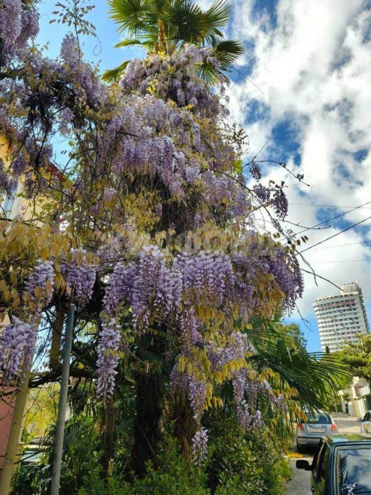 2-комн квартира Кубанская улица, д.22