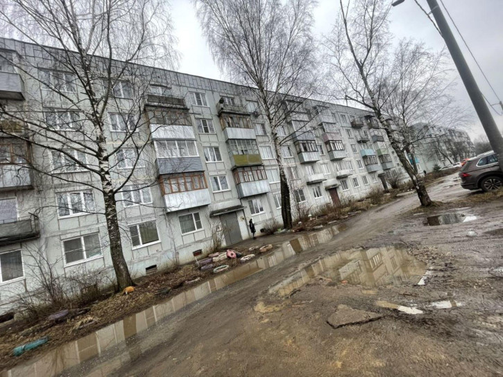 2-комн квартира Балинская 1-я ул, 58