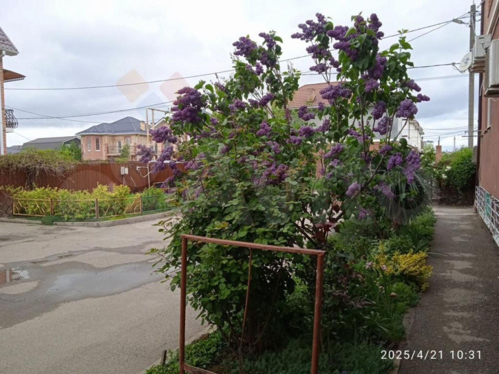 1-комн квартира Майкопская ул, 1/1