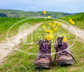 земля 45.2 сот Лесозаводская улица