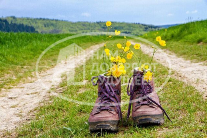 Земельный участок Лесозаводская улица