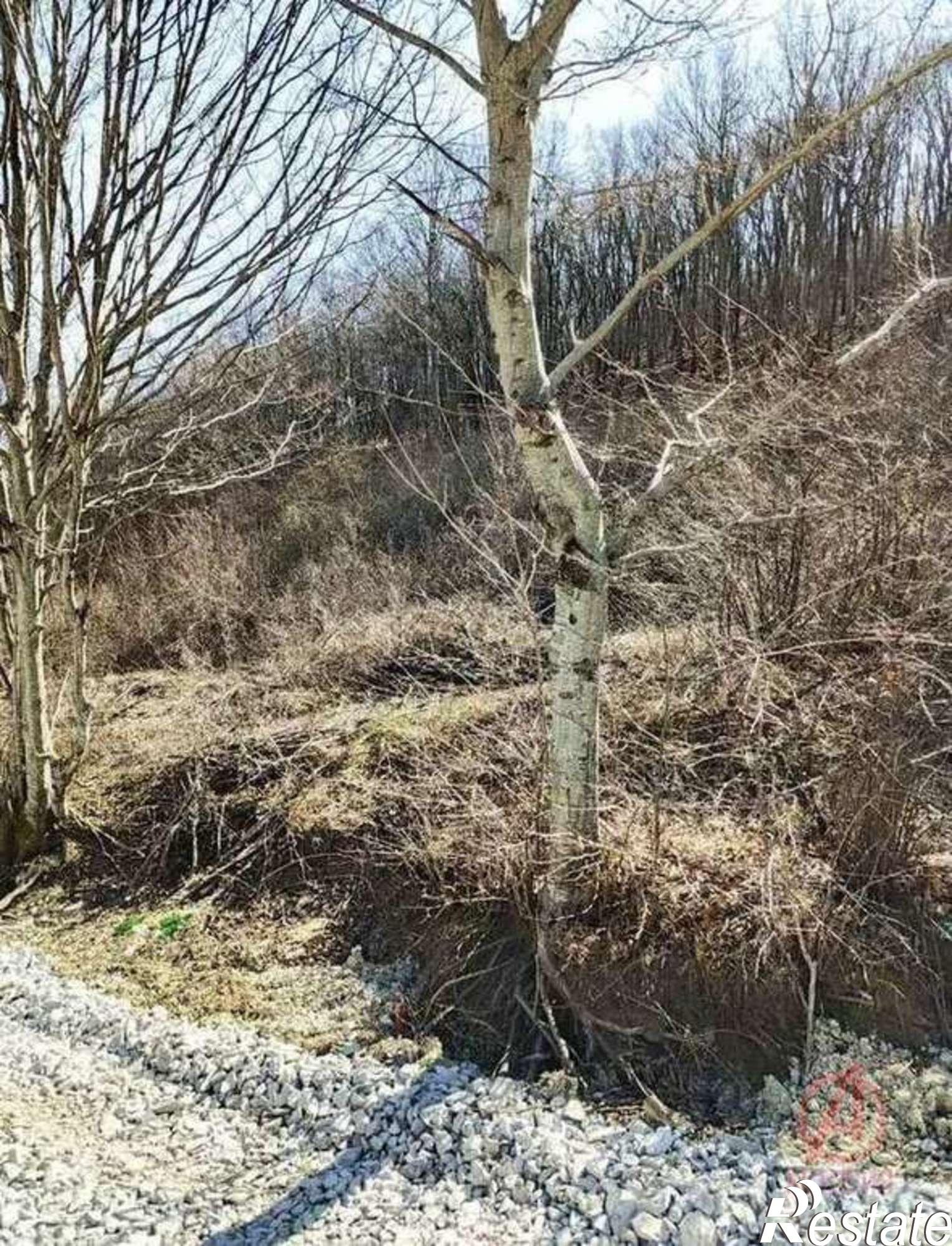 Купить землю, земельный участок за 4 900 000 рублей на Магаданский переулок, 7