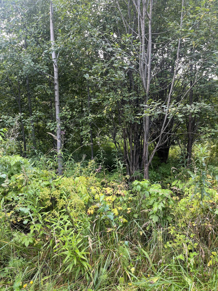 Земельный участок Россия, Солнечная ул