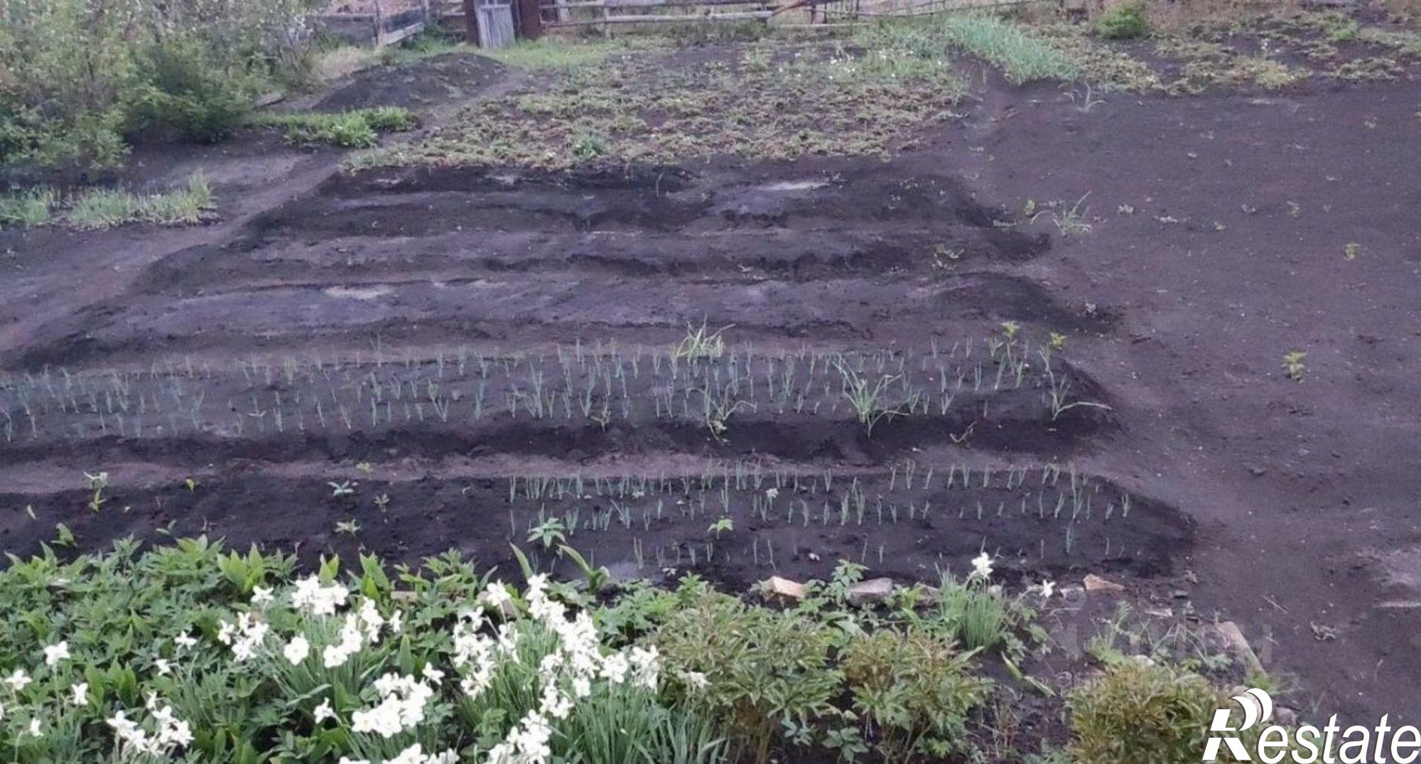 Купить дачу, дом, коттедж за 200 000 рублей на городское поселение Белорецк, СНТ Радуга