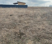 земля 15 сот Заволжский