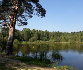 земля 11 сот , 37:09:010823:230